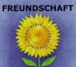 Freundschaft Pflege
